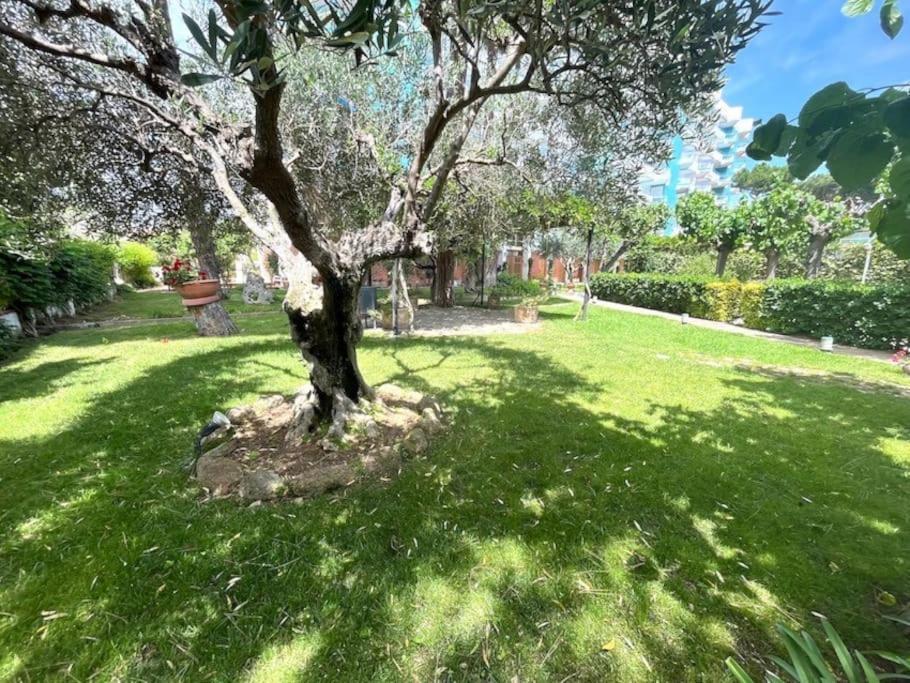 Apartamento Platja D 'Aro, 5 Camas 2 Dormitorios Castell-Castell-Platja d'Aro Buitenkant foto