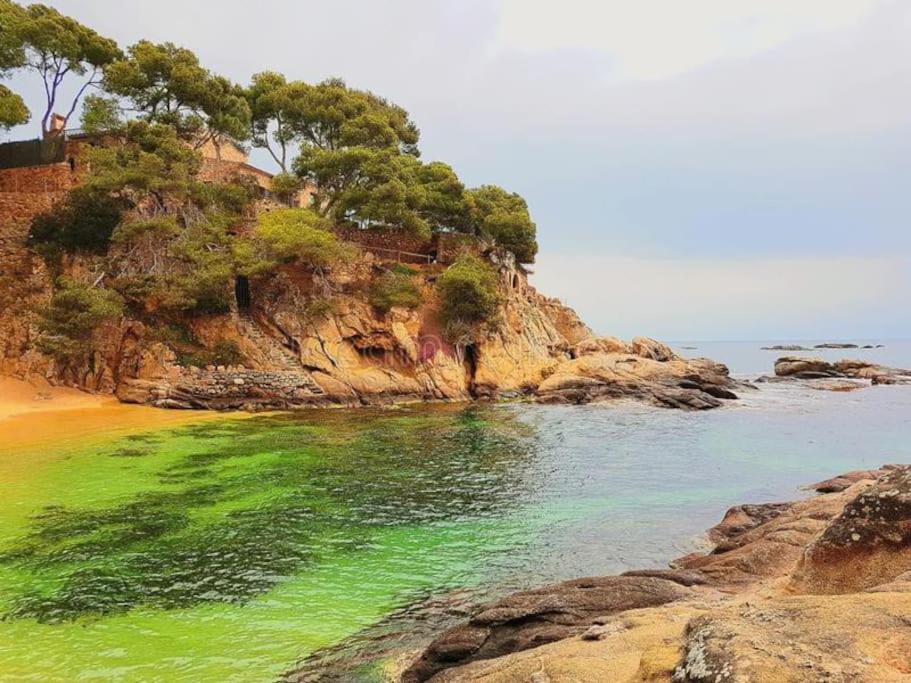 Apartamento Platja D 'Aro, 5 Camas 2 Dormitorios Castell-Castell-Platja d'Aro Buitenkant foto